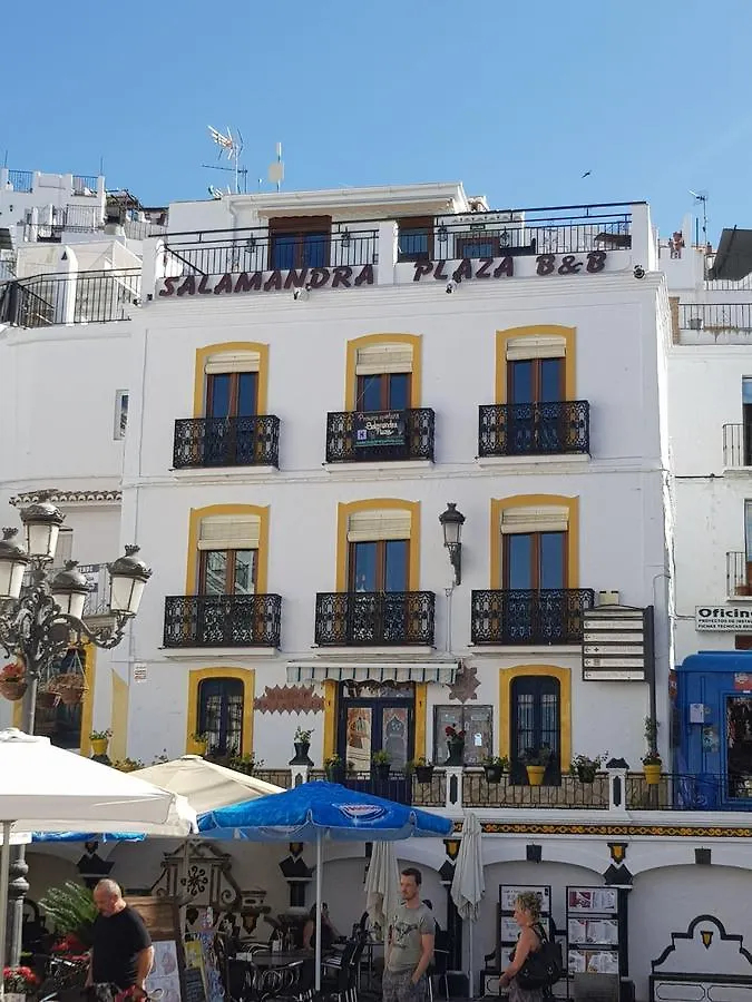 Salamandra Plaza Cómpeta Spanien