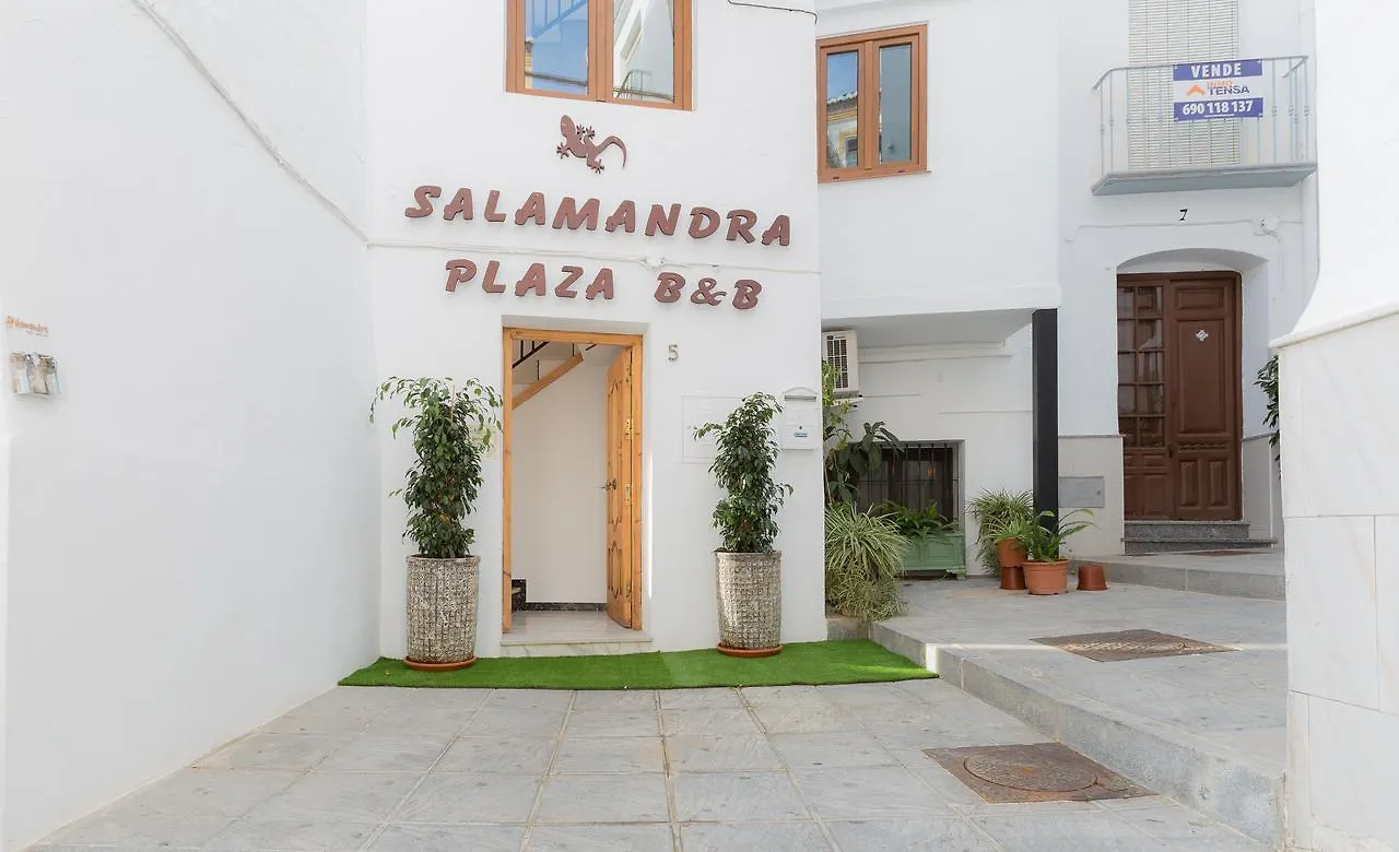 ** Bed & Breakfast Salamandra Plaza Cómpeta Spanien